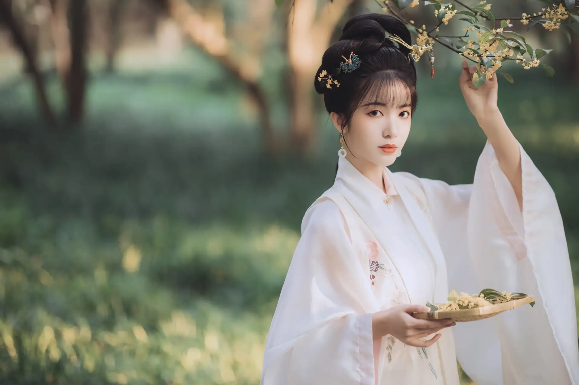 [艺图语] 2021.11.22 Vol.463 – 桂花酿 一只阿梦崽#[36P]-1